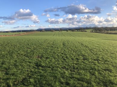 FOR TENDER – 5 YEAR FARM BUSINESS TENANCY – 28.27 ACRES (11.45HA) OF GRAZING, MOWING AND ARABLE LAND NEAR AIKTON, WIGTON