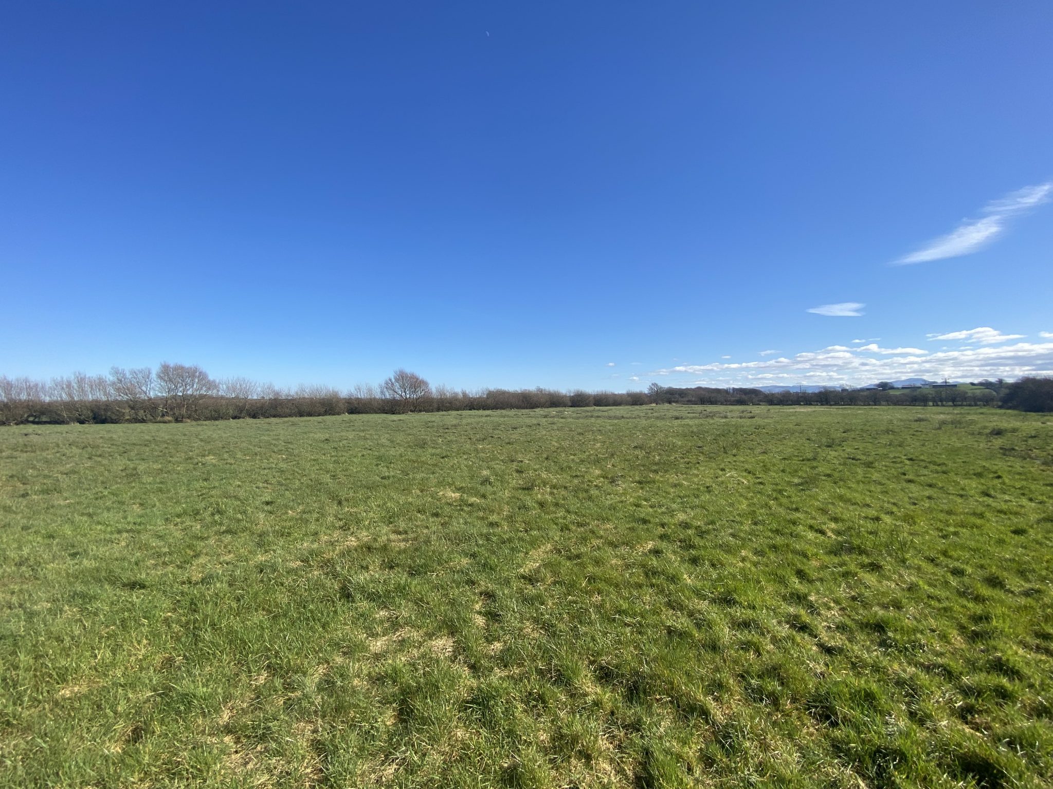 Property For Sale Hopes Auctioneers Wigton