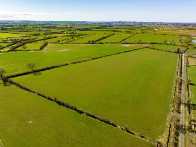 LAND AT ELLERCARR BRIDGE, NEAR LESSONHALL, WIGTON