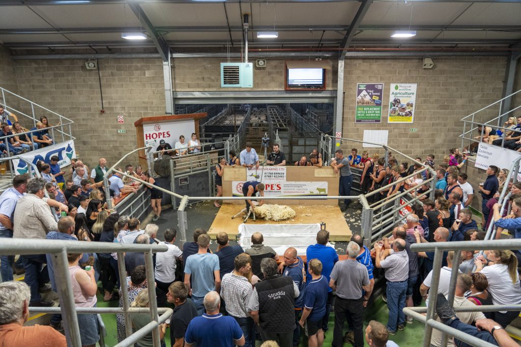 Hopes Auctioneers Wigton