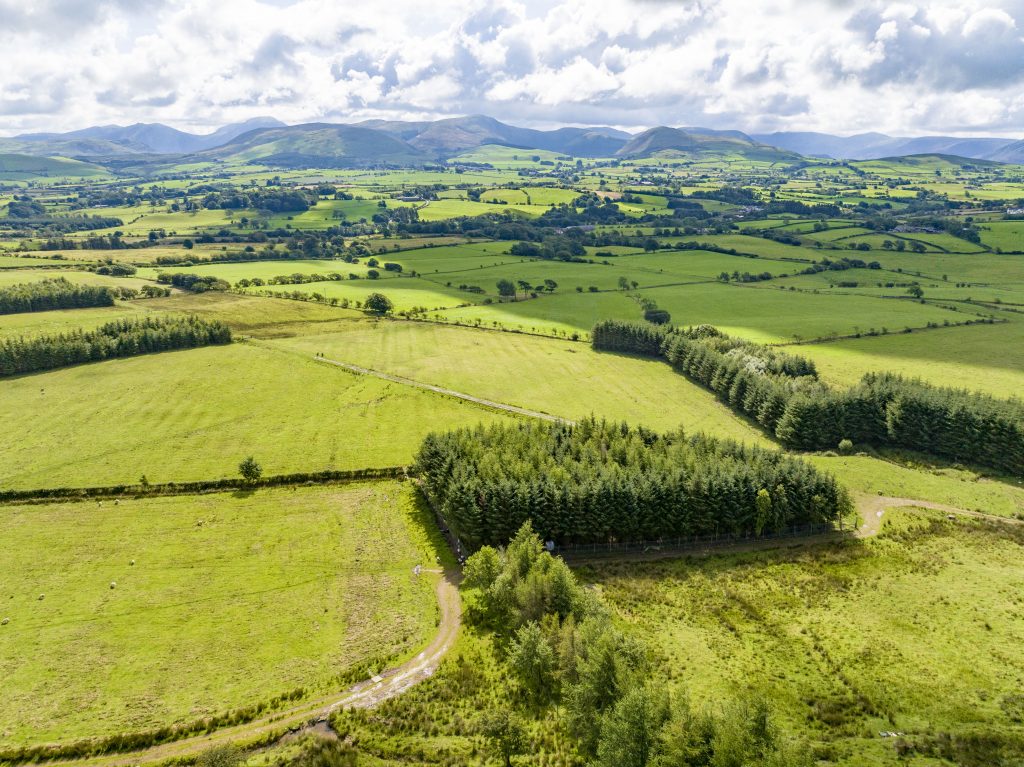 Hopes Auctioneers Wigton