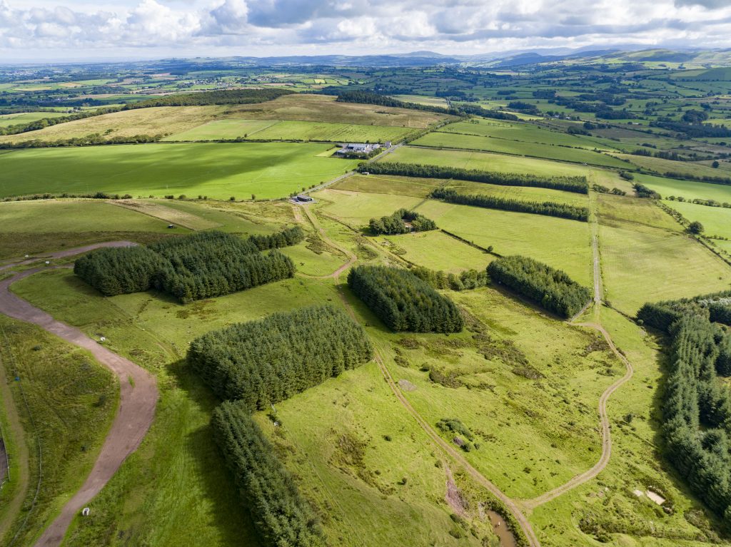 Hopes Auctioneers Wigton