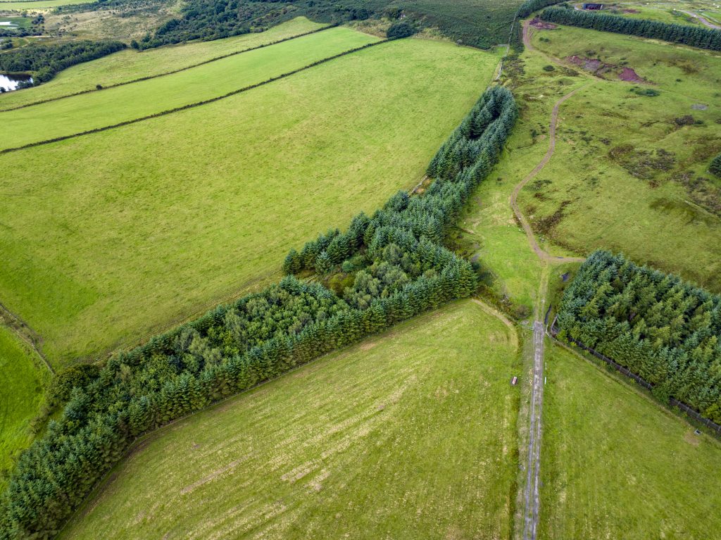 Hopes Auctioneers Wigton