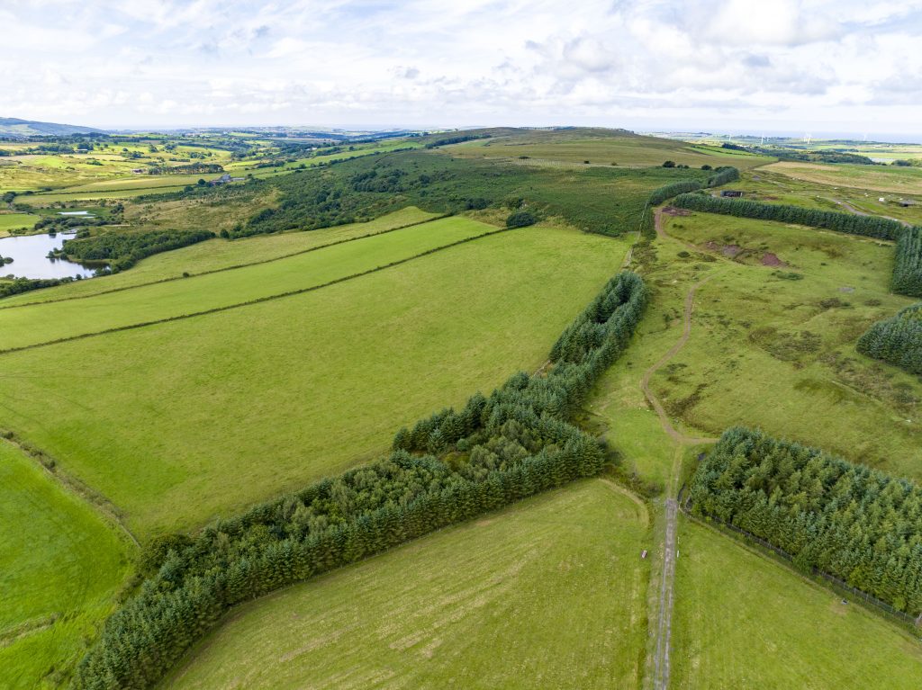 Hopes Auctioneers Wigton