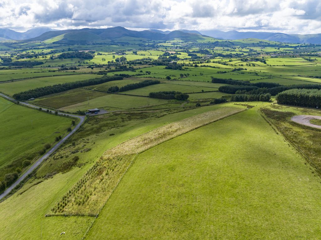 Hopes Auctioneers Wigton