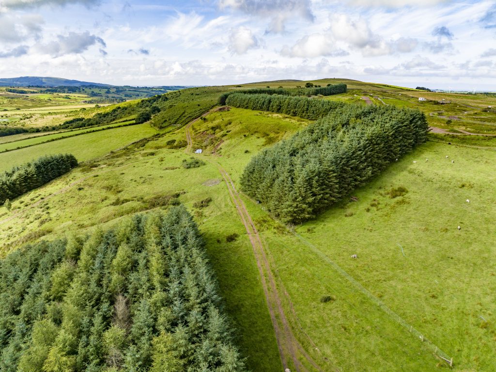 Hopes Auctioneers Wigton