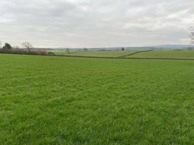 LAND NEAR MICKLETHWAITE, WIGTON, CA7 0HF