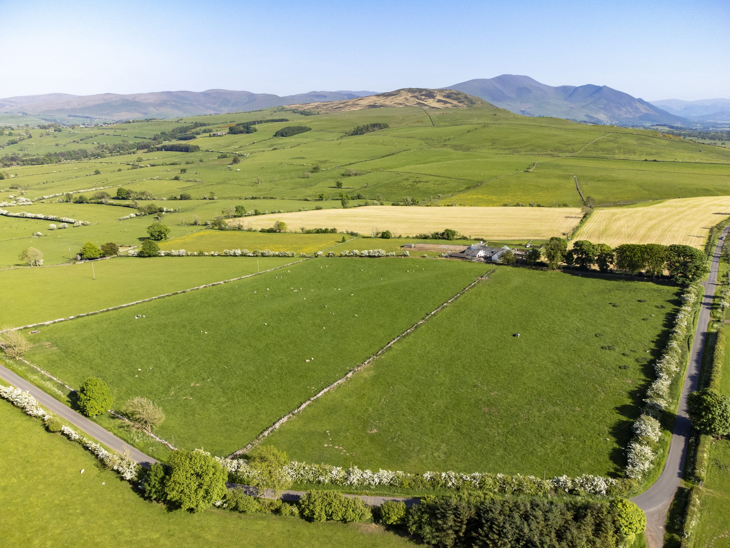 LAND AT WHITRIGG TORPENHOW WIGTON CUMBRIA Hopes Auctioneers Wigton land-at-whitrigg-torpenhow-wigton-cumbria-hopes-auctioneers-wigton