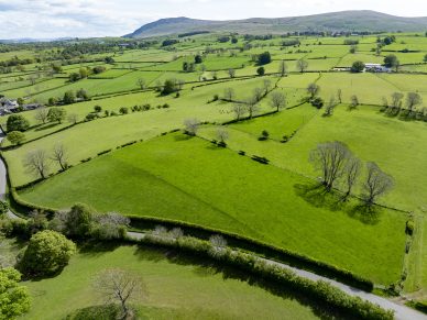 LAND AT WHELPO AND HESKET NEWMARKET