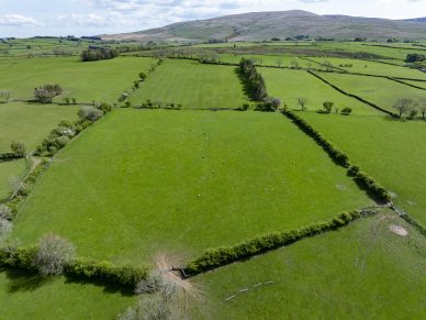 LAND AT WHELPO AND HESKET NEWMARKET