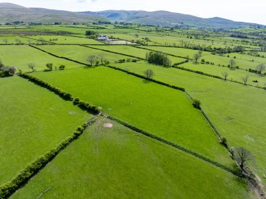 LAND AT WHELPO AND HESKET NEWMARKET