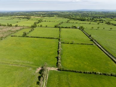 TO LET – RICHMOND PLAINS FARM, SEBERGHAM, CA5 7EA
