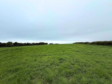 LAND NEAR ALLONBY