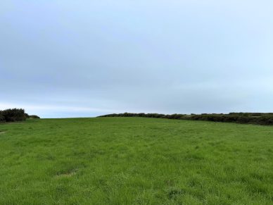 LAND NEAR ALLONBY
