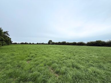 LAND NEAR ALLONBY